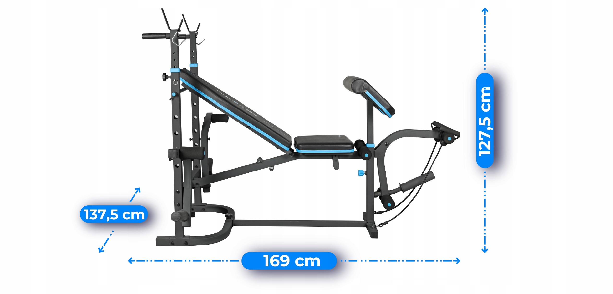 Specificatie van het model