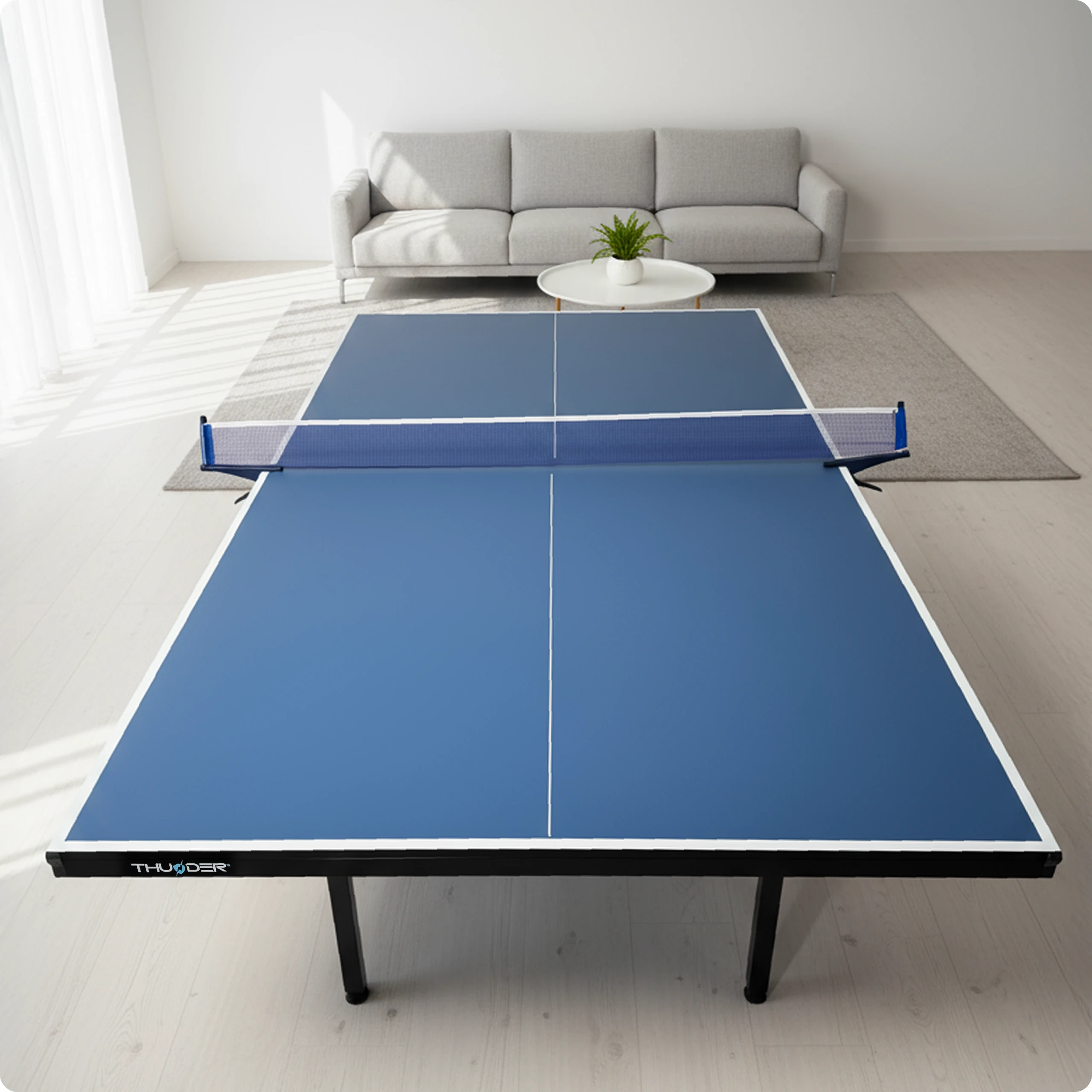 Overeenstemming met voorschriften – THUNDER (duplicaat)