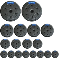 60 kg (2x 10 kg, 4x 5 kg, 4x 2,5 kg, 8x 1,25 kg)